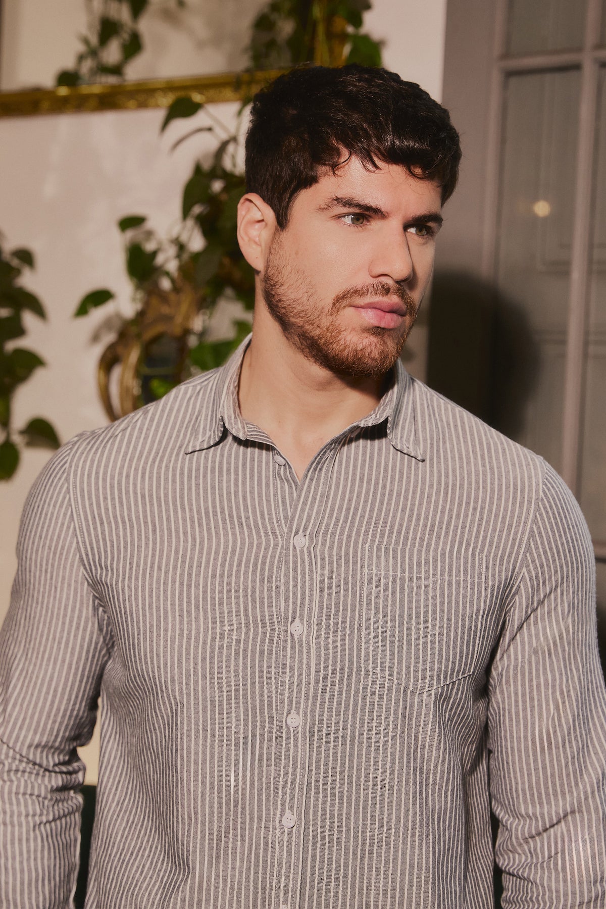 Camisa Oxford Plomo - Verne
